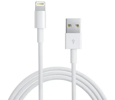 Apple iPhone 5 / iPad Lightning Cable