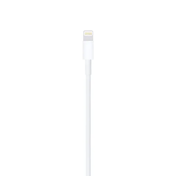 Apple Lightning to USB  Cable (2m)