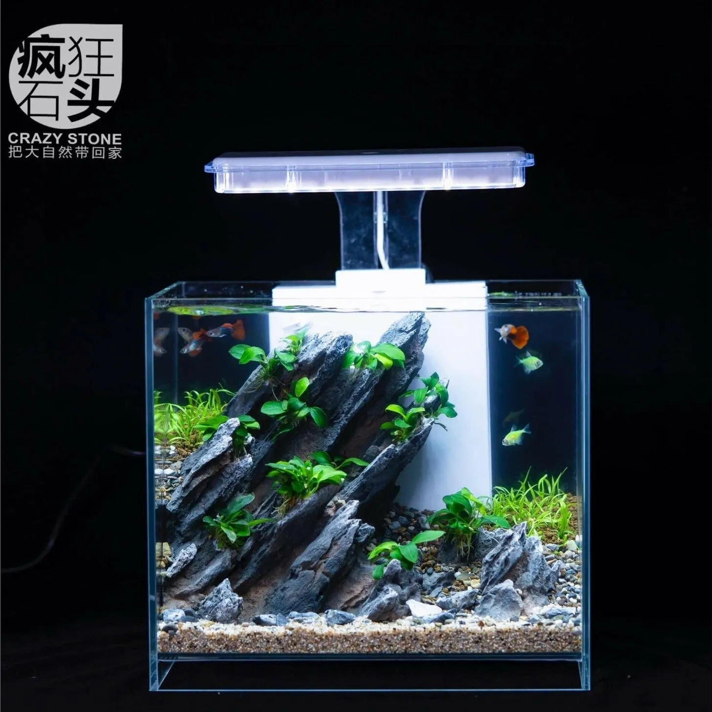 Aquarium landscape package A-4