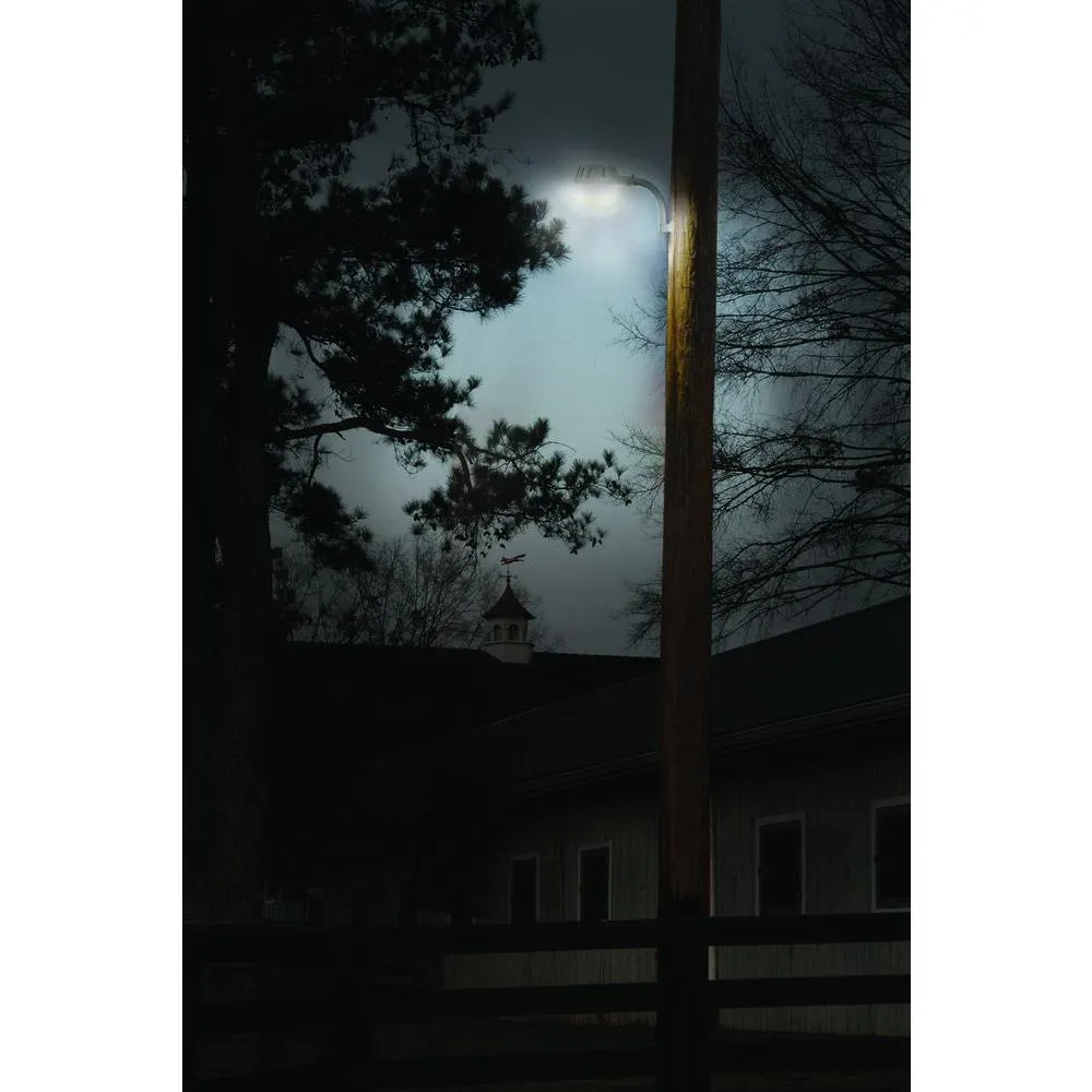 Cooper Lighting AL3250LPCIGY All-Pro LED Dusk-to-Dawn Area & Wall Light, Gray