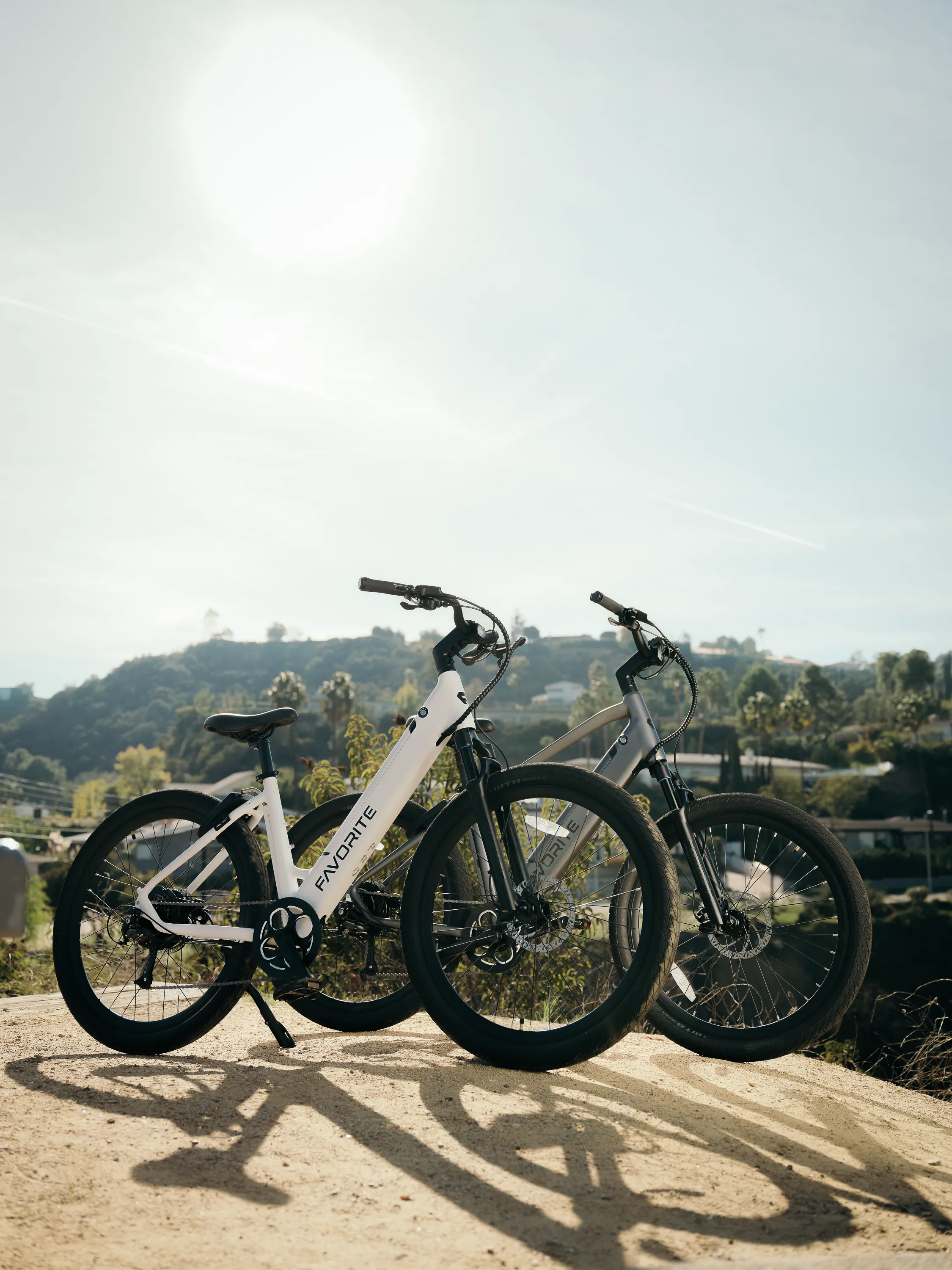 Favorite Hybrid ST Pro Electric Bike