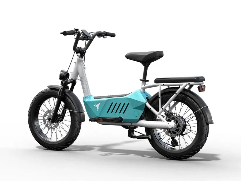HIMIWAY C3 Cargo Bike