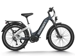 Himiway Zebra D5 ST - Premium All-terrain Electric Fat Bike