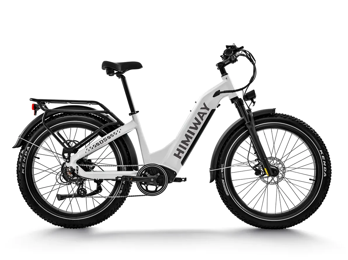 Himiway Zebra D5 ST - Premium All-terrain Electric Fat Bike