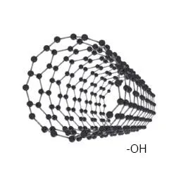 OH Functionalized Single-Walled Carbon Nanotubes