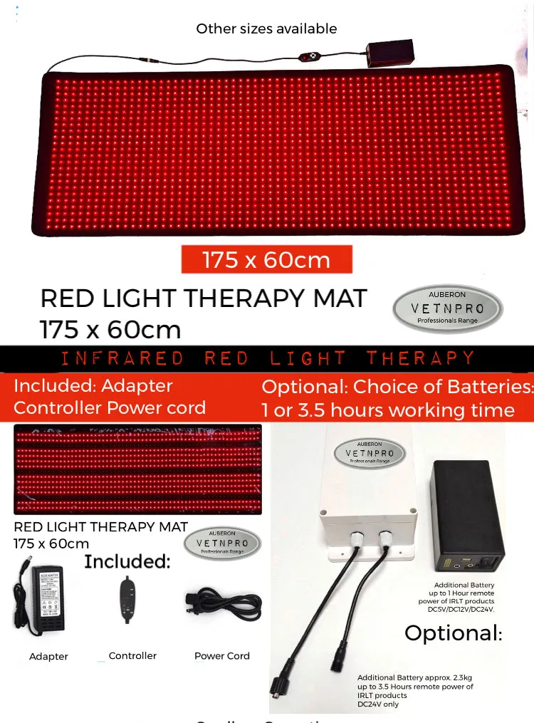 Powerbank Battery Extra Heavy Duty  for DC24V IRLT range & other devices