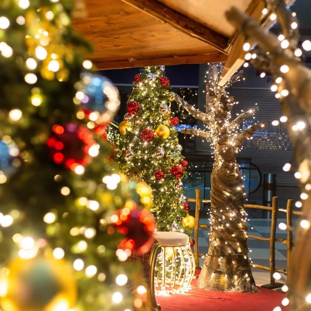 Quntis Waterproof Christmas String Lights – 8 Modes, Available in 2 Sizes for Holiday & Xmas Decor