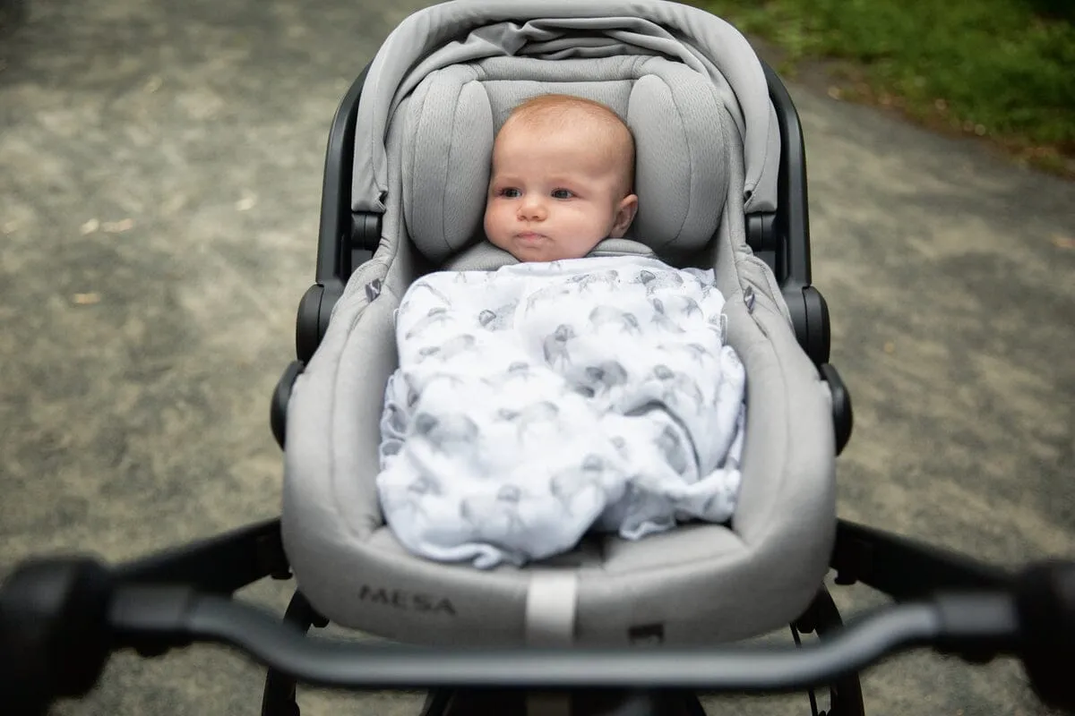 UPPAbaby Ridge and Mesa V2 Travel System