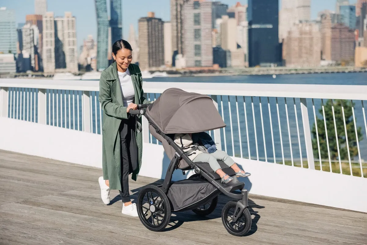 UPPAbaby Ridge and Mesa V2 Travel System