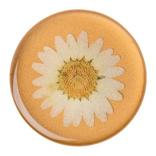 White Daisy Pressed Flower: PopSockets - Premium PopGrip